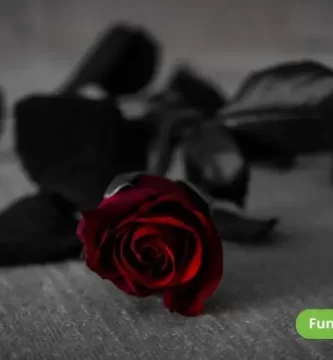 que-flor-representa-la-perdida-de-un-ser-querido