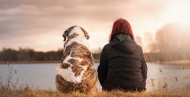 Recordarte y Sonreír Crematorio de Mascotas